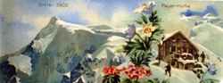 Ortler