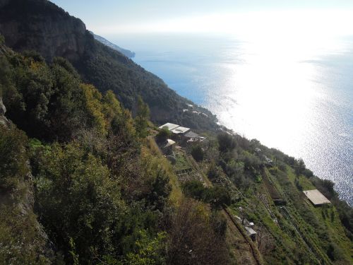 Positano - La Selva