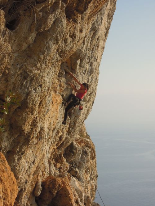 Capo d Orso Coscia calda 7a Adela