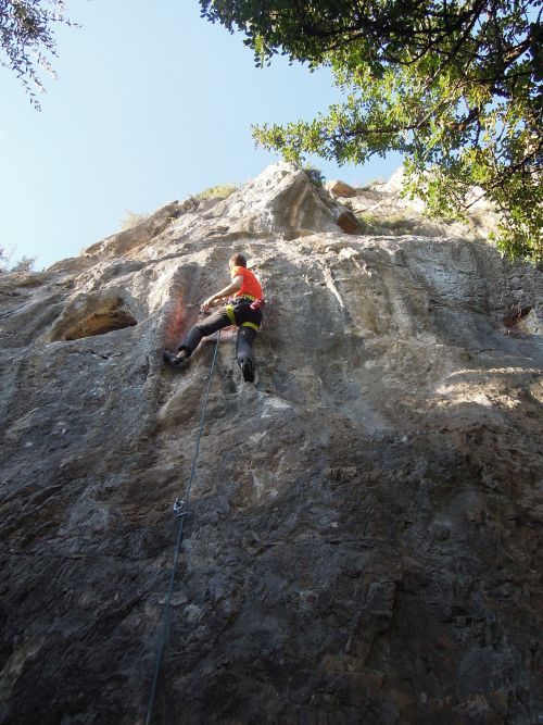 Mirabella 7a
