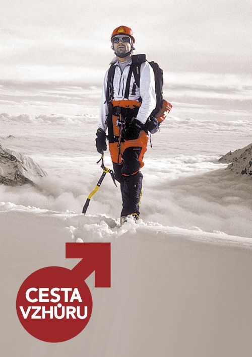 Cesta vzhru plakt