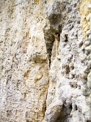 ..dnes sme liezli po tomto